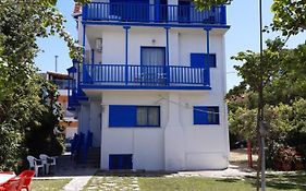 Blue Garden